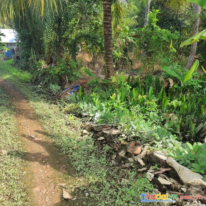 Chính chủ bán lô đất đẹp vị trí đắc địa tại tp mỹ tho, tiền giang - giá cực rẻ