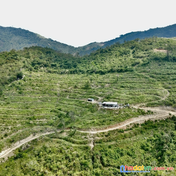 Bán 3 hecta diên diền, diên khánh đang cải tạo tặng 1 trại trị giá 200tr