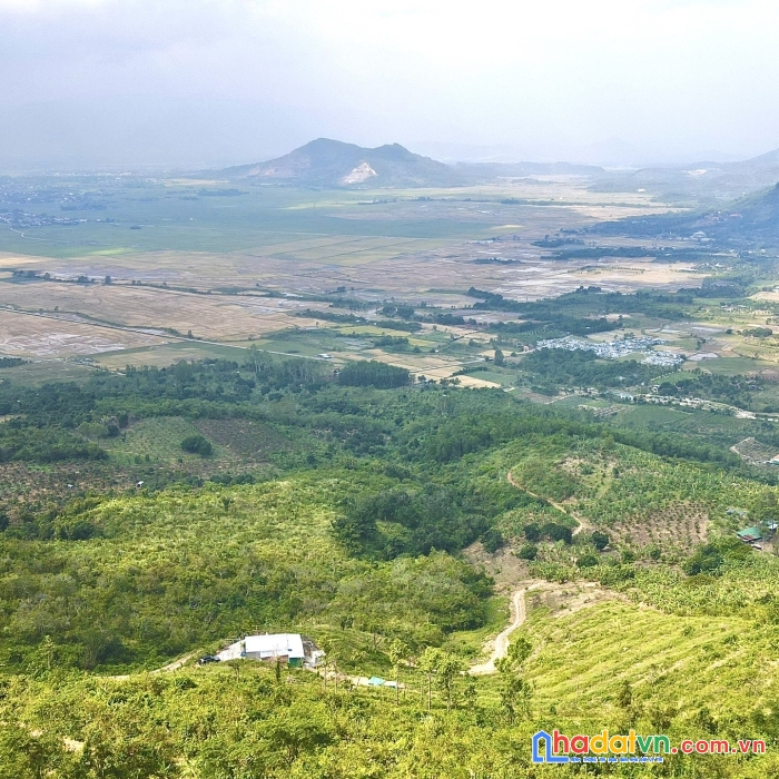 Bán 3 hecta diên diền, diên khánh đang cải tạo tặng 1 trại trị giá 200tr
