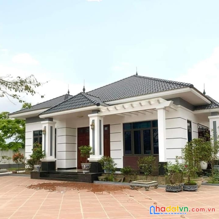 Bán nhà mặt tiền phan văn đối, gần trường học, chợ, ngân hàng, siêu thị mini, giá bất ngờ