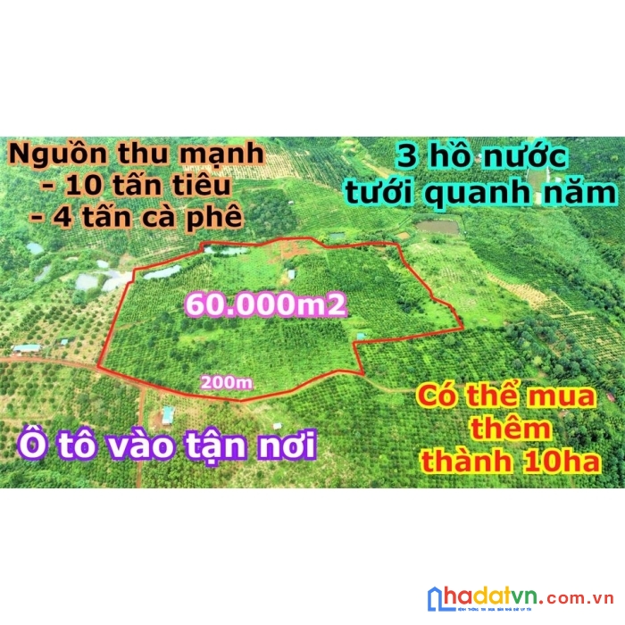 Đất rẫy đăk nông giá rẻ