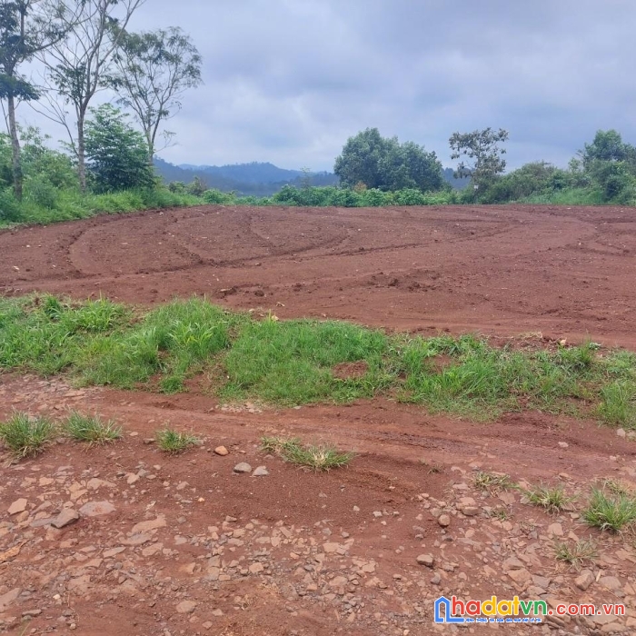 Chính chủ bán lô đất vị trí đẹp tại xã đà loan đức trọng, lâm đồng