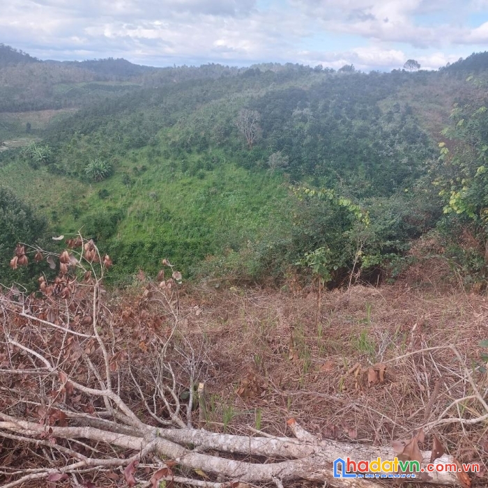 Chính chủ bán lô đất vị trí đẹp tại xã đà loan đức trọng, lâm đồng