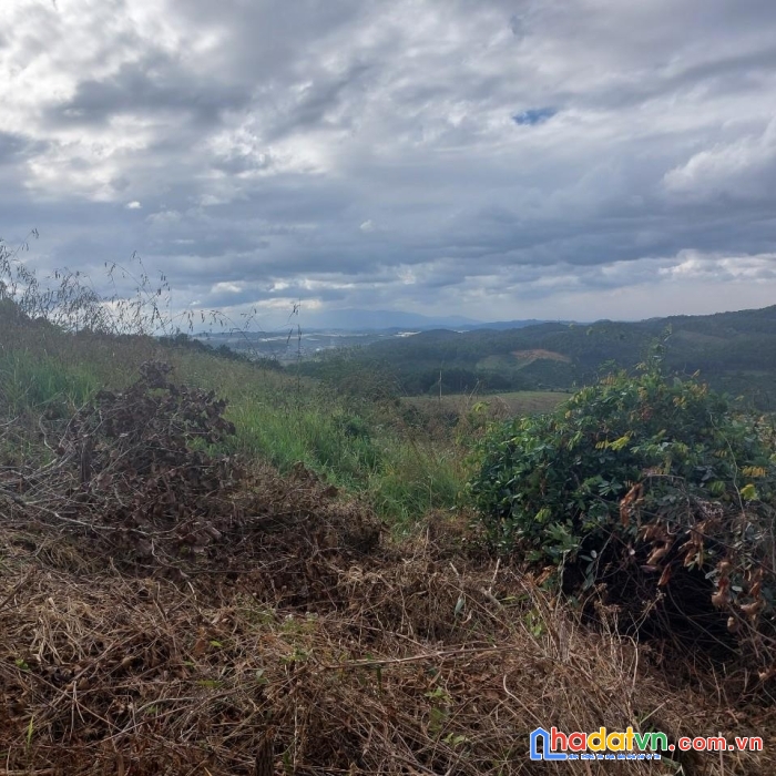 Chính chủ bán lô đất vị trí đẹp tại xã đà loan đức trọng, lâm đồng