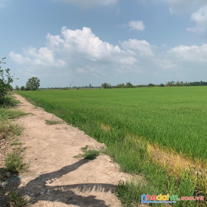 Đất chính chủ vị trí đẹp - giá cực rẻ tại xã lương an trà, tri tôn , an giang