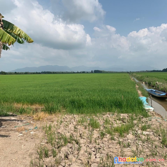 Đất chính chủ vị trí đẹp - giá cực rẻ tại xã lương an trà, tri tôn , an giang
