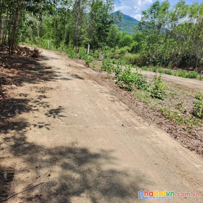Sở hữu ngay 1 trong  2 lô liền kề giá cực sốc tại khánh vĩnh, khánh hòa