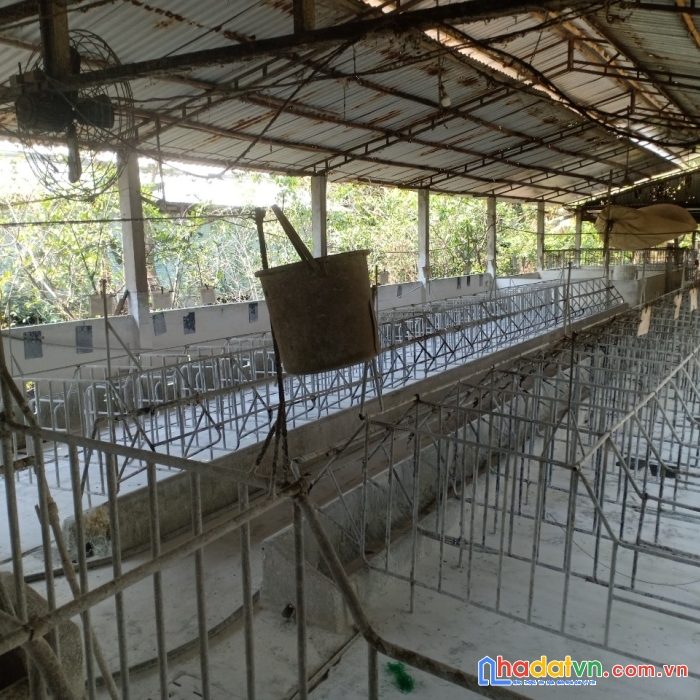 Sở hữu ngay lô đất vườn vị trí đẹp tại huyện chợ gạo - giá cực ưu đãi