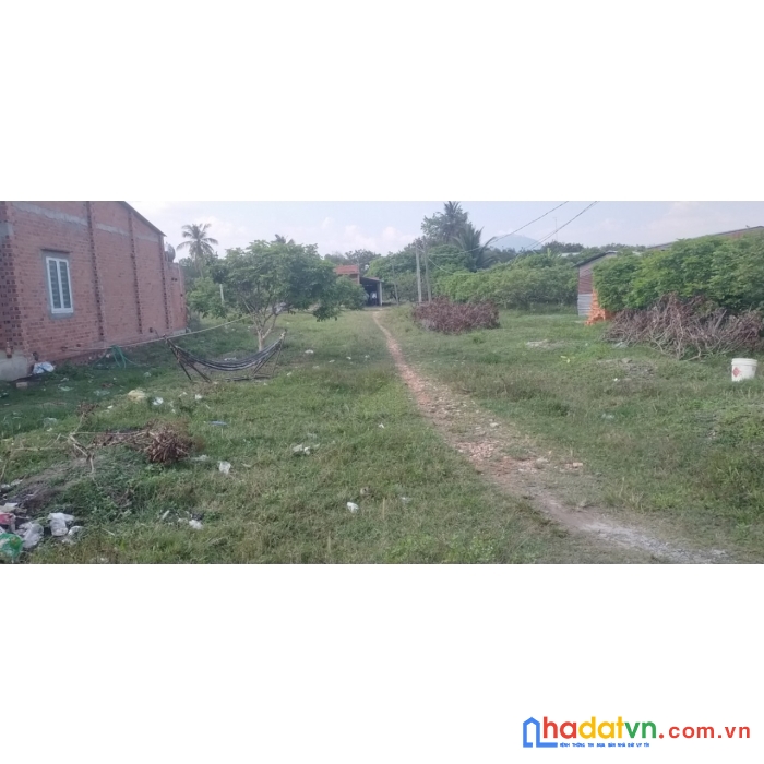 Chính chủ cần vốn làm ăn nên bán mảnh đất tại trường xuân, trường hòa, hòa thành, tây ninh