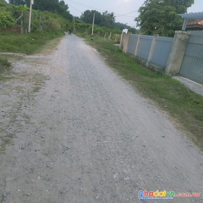 Chính chủ cần vốn làm ăn nên bán mảnh đất tại trường xuân, trường hòa, hòa thành, tây ninh