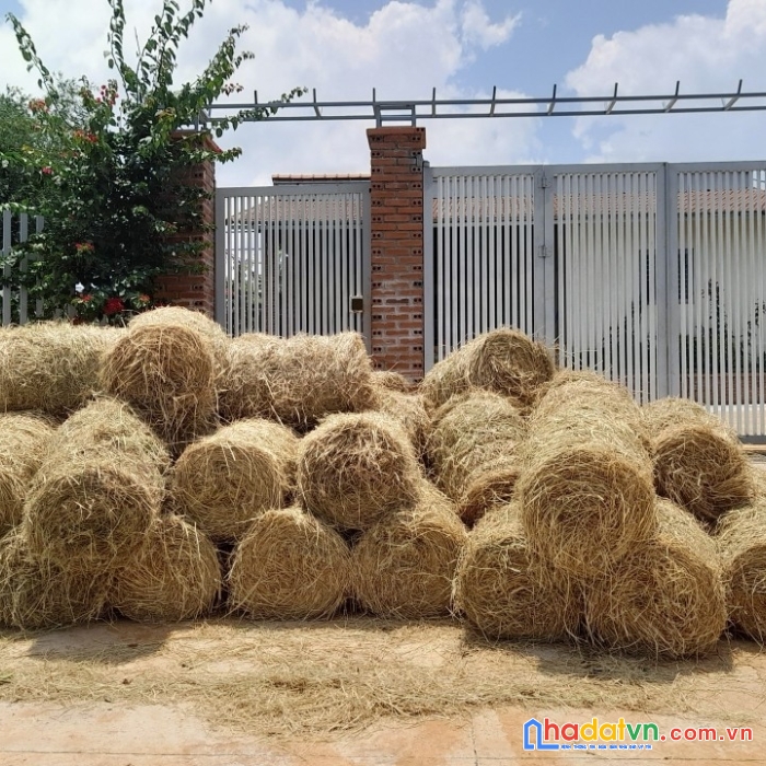 Chính chủ cần bán gấp nhà vườn sinh thái địa thế  đẹp tại  tp pleiku - gia lai