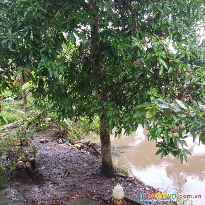 Chính chủ cần bán lô đất vị trí đẹp tại xã tân kiều, huyện tháp mười, tỉnh đồng tháp