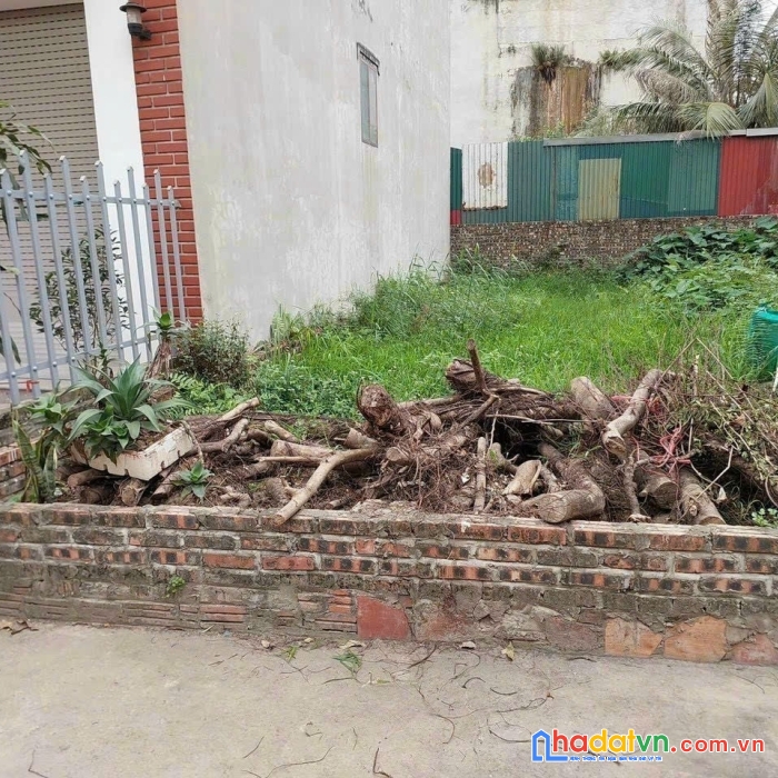 Cực hiếm, vị trí quá đẹp, 62,2m2. thông oto, trục nông, cổ dương đông anh, giá 3x/m