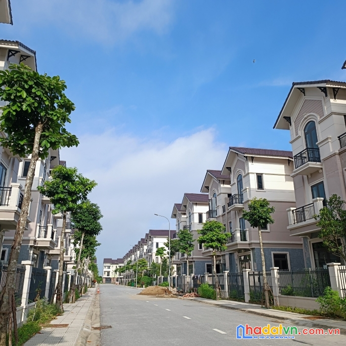 Sở hữu biệt thự sống trong lành ngay cạnh công viên hồ điều hoà 1,4ha