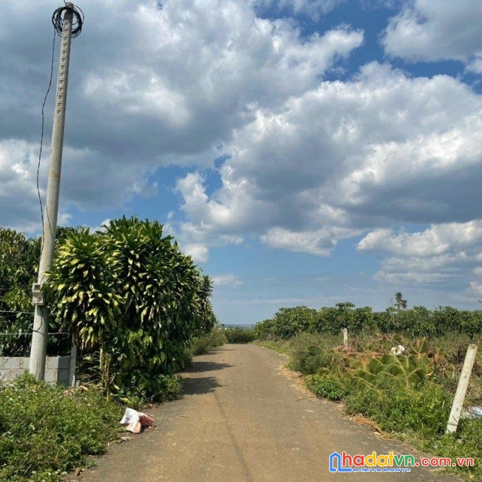 Sở hữu ngay lô đất đẹp vị trí đắc địa tại 447 lý thường kiệt, phường lộc phát, tp bảo lộc, lâm đồng