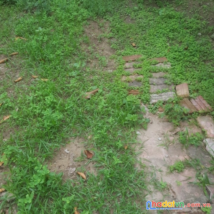 Võ cường 114m², đường  ô tô mặt gần 8m hơn 2 tỷ
