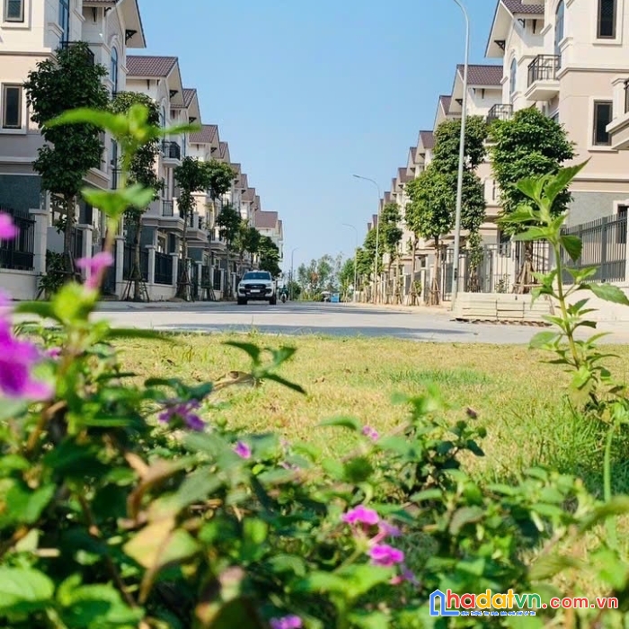 Sở hữu biệt thự siêu đẹp với môi trường sống xanh tại từ sơn bắc ninh