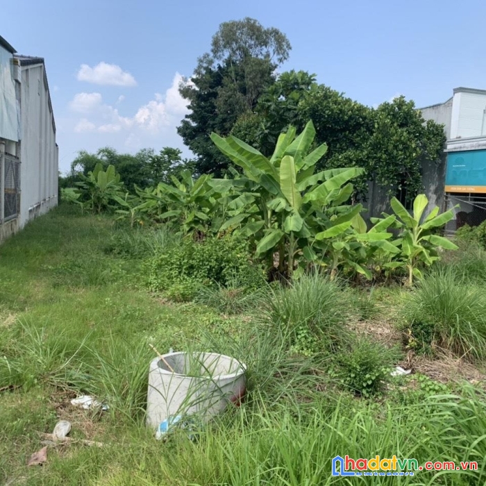 Sở hữu ngay lô đất mặt tiền đường lộ 10, xã thạnh tân, tp tây ninh