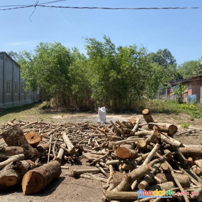 Lô đất chính chủ vị trí đẹp tại ấp bến mương, xã thạnh đức, huyện gò  dầu - tây ninh