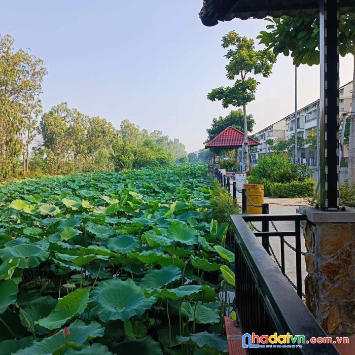 [giá thơm] - shophouse view sông sen centa city bắc ninh 0983517495