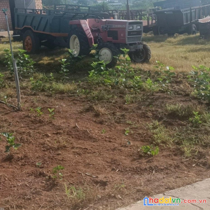 Sở hữu ngay lô đất đẹp vị trí đắc địa tại lâm hà, lâm đồng