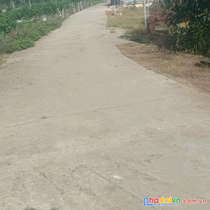 Sở hữu ngay lô đất đẹp vị trí đắc địa tại lâm hà, lâm đồng