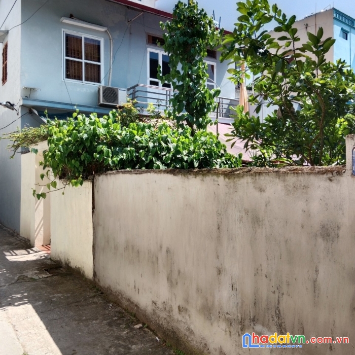Chính chủ cần bán gấp lô đất tại số 26 ngõ 469 đường trần huy liệu, phường văn miếu, nam định.