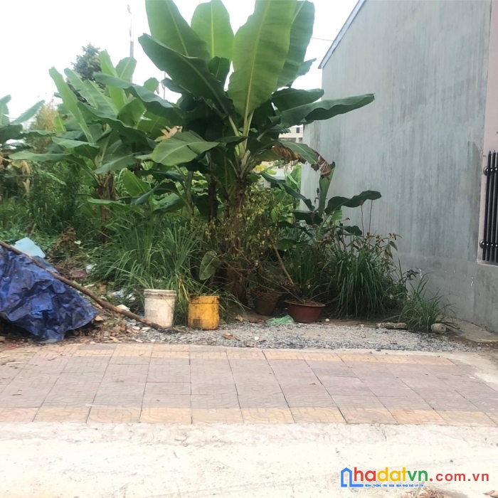 1. chính chủ bán lô đất đẹp tại chợ thành phước, tx bình minh - giá cực rẻ