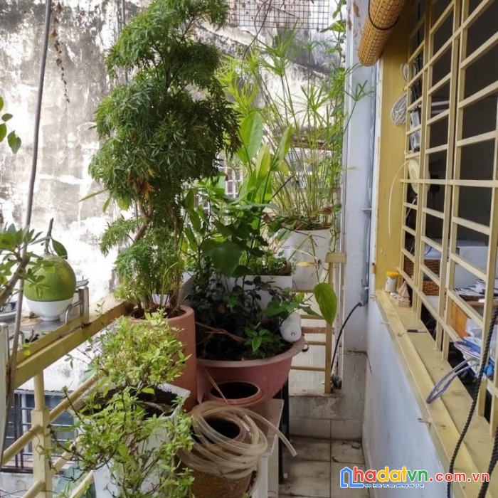 Hot !!! sở hữu ngay căn nhà vị trí đắc địa tại phường 11, quận 3, tp hcm