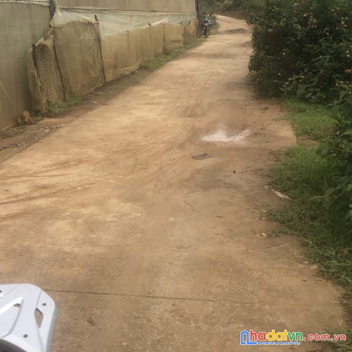 Sở hữu ngay lô đất vị trí đắc địa tại phường 7 tp đà lạt, lâm đồng