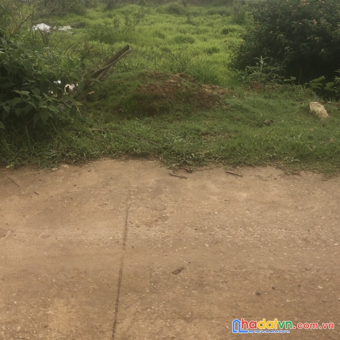 Sở hữu ngay lô đất vị trí đắc địa tại phường 7 tp đà lạt, lâm đồng