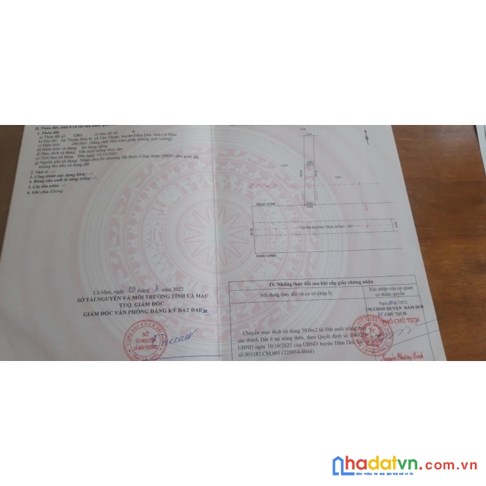 Hot!!! chính chủ bán 4 lô đất liền kề vị trí tại đầm dơi-cà mau