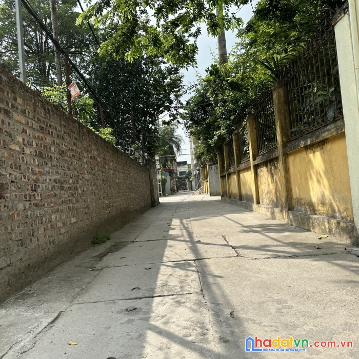 Bán đát đấu giá đản dị đông anh, đường thông rộng, ngay sau trường đảng