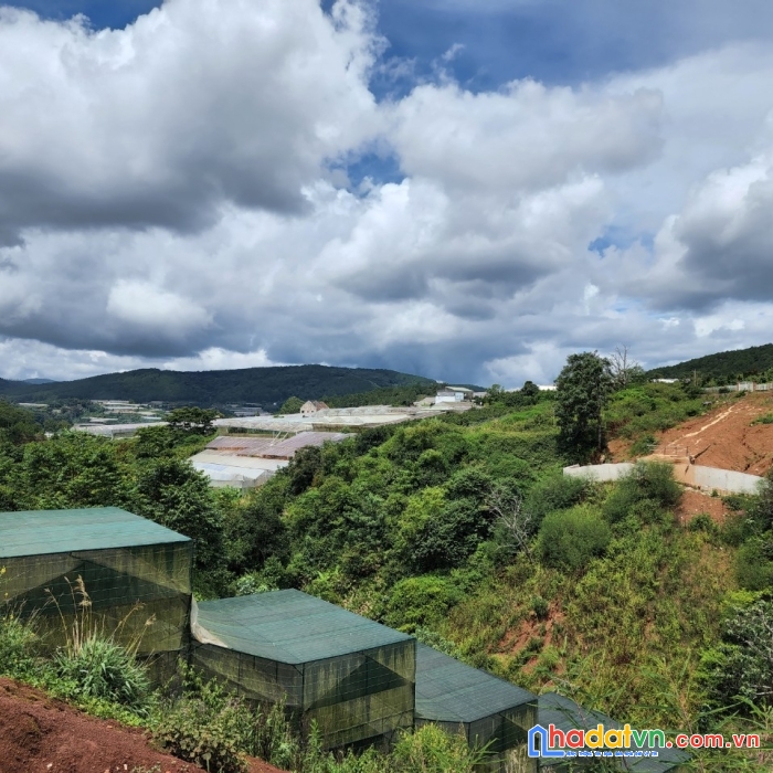 ( loa loa ) cần bán gấp đất biệt thự view thoáng tại măng ling, đà lạt 212m2 giá chỉ 4.85 tỷ