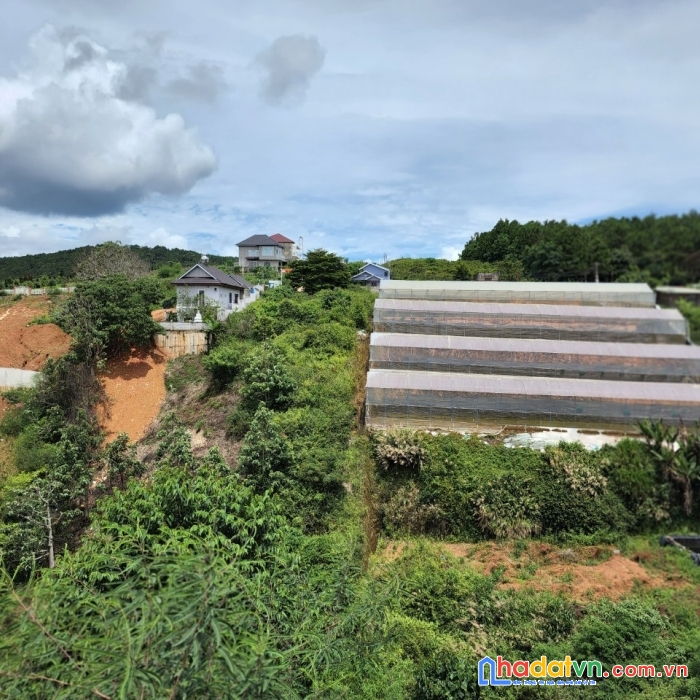 ( loa loa ) cần bán gấp đất biệt thự view thoáng tại măng ling, đà lạt 212m2 giá chỉ 4.85 tỷ