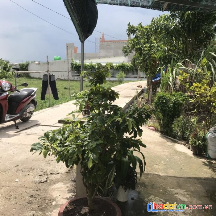 Sở hữu ngay lô đất đẹp vị trí tại   đức hoà- long an