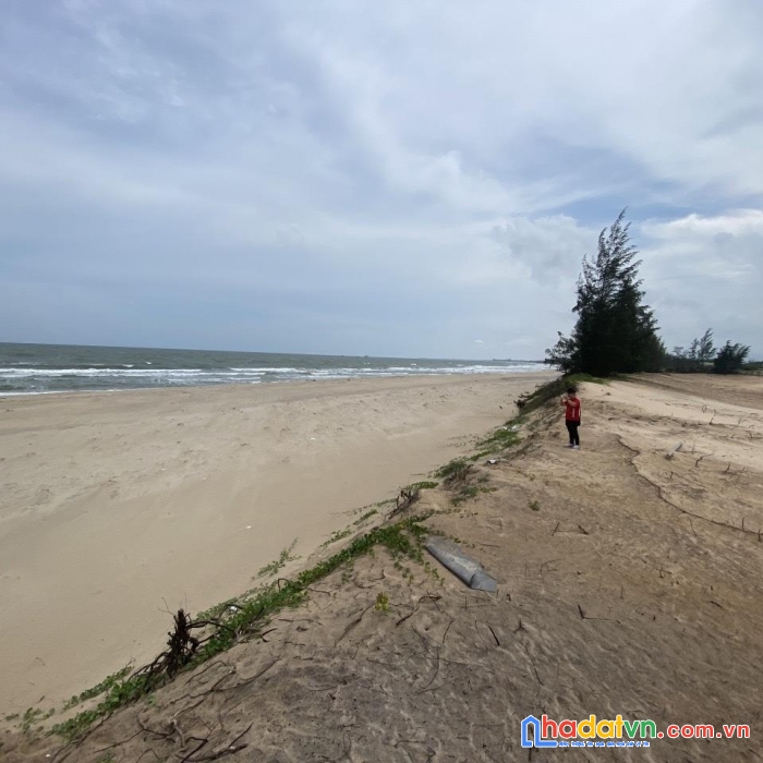 Cần bán 3.3 mẫu đất biển tại thanh phong, tân thuận, hàm thuận nam - giá đầu tư.