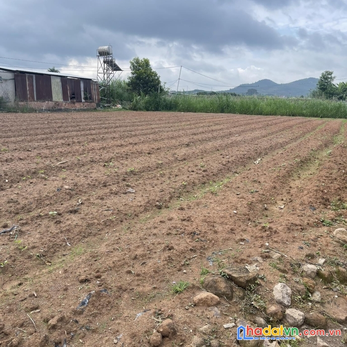 Đất chính chủ vị trí đẹp tại 195 tân an, tân hội, huyện đức trọng - lâm đồng