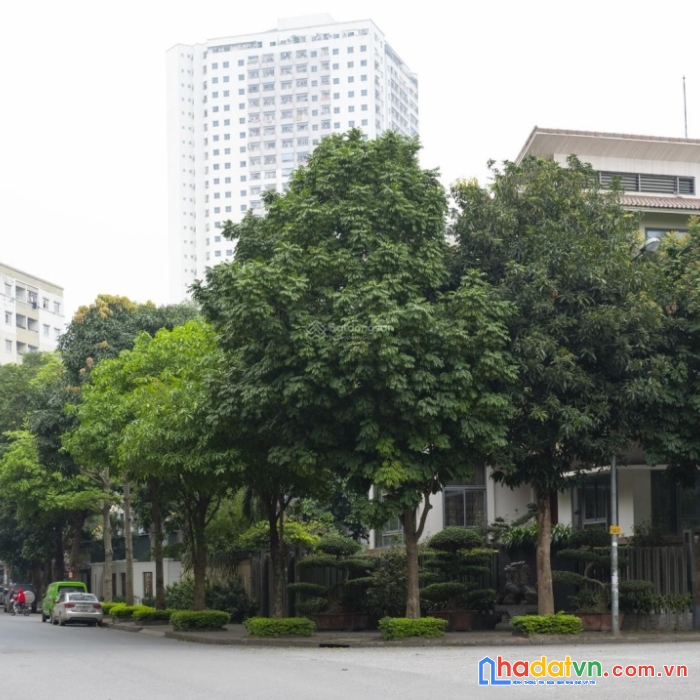 Bán lô đất siêu hiếm phố  hoàng liệt 94m x 6.8mt, ô tô vào đất, đường thông. 11 tỷ.