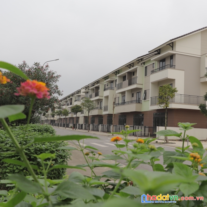 Cơ hội bắt đáy thị trường nhà phố view sông sen ninh hiệp liên hệ an: 0983517495