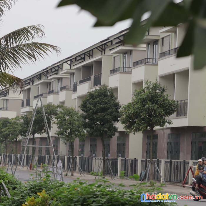 Cơ hội bắt đáy thị trường nhà phố view sông sen ninh hiệp liên hệ an: 0983517495