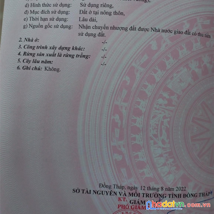 Bán nhanh nền thổ cư vị trí đẹp tại xã bình thành, huyện thanh bình, đồng tháp