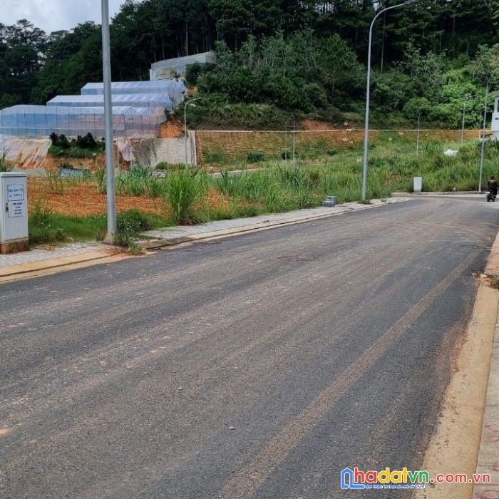 Ông anh cần tiền bán gấp lô đất cho con đi du học canada  - đất khu quy hoạch dân cư số 5 an sơn,