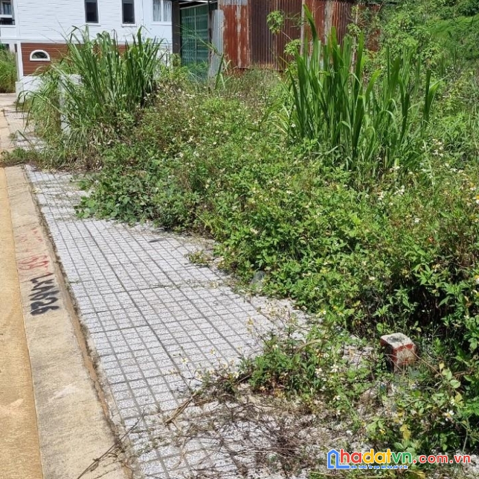 Ông anh cần tiền bán gấp lô đất cho con đi du học canada  - đất khu quy hoạch dân cư số 5 an sơn,