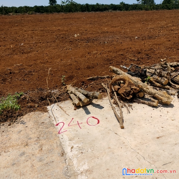 Chủ đầu tư kẹt vốn giảm giá bán khu đất 11 lô đất giá rẻ tại phúc thọ, lâm hà giá chỉ 11.5 tỷ