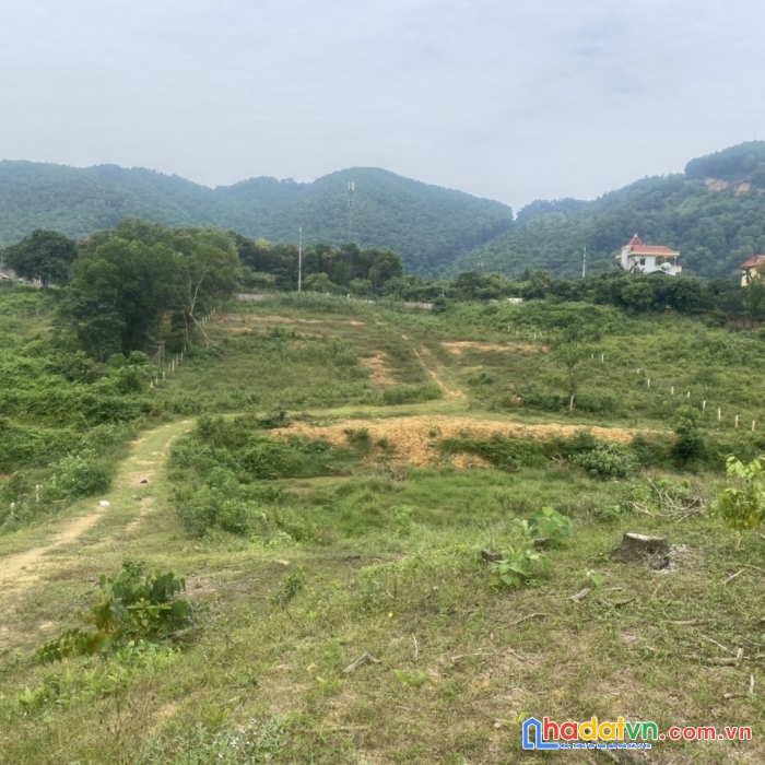 Bán 2,5ha bãi dài, tiến xuân, thạch thất, hà nội có 900m bám đường 50m giá nhỉnh 3tr/m2