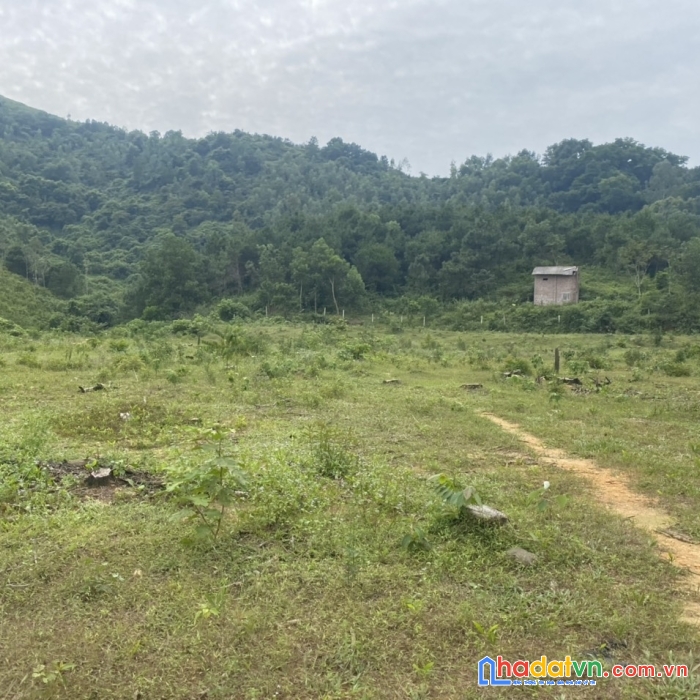 Bán 2,5ha bãi dài, tiến xuân, thạch thất, hà nội có 900m bám đường 50m giá nhỉnh 3tr/m2