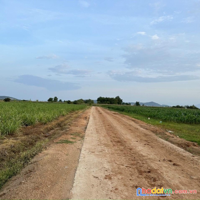Sở hữu ngay lô đất đẹp vị trí đắc địa tại xã mỹ sơn - ninh sơn - ninh thuận