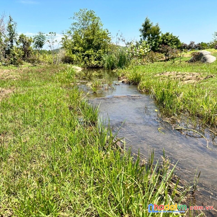 Sở hữu ngay lô đất đẹp vị trí đắc địa tại xã mỹ sơn - ninh sơn - ninh thuận