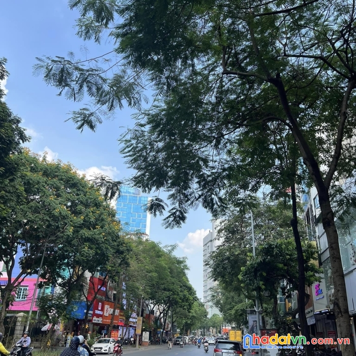 Bán nhà mặt phố thái hà, vị trí kim cương, kinh doanh đỉnh, thông số đẹp, 4 tầng, 68m, 41,9 tỷ.